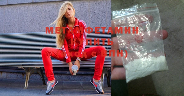 прущие грибы Медвежьегорск